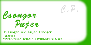 csongor pujer business card